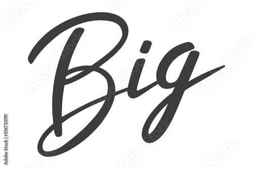 Word Big. Hand drawn lettering. Artistic isolated text. Vector illustration