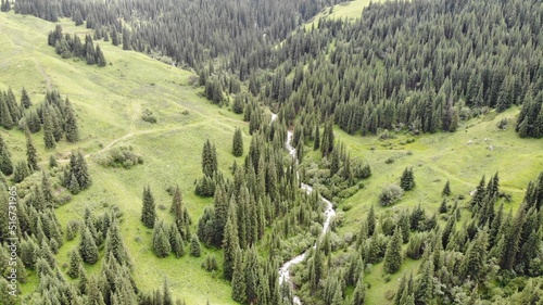 Aerial view mountains, forest and rocks, permafrost in the gorge Turgen Kazakhstan