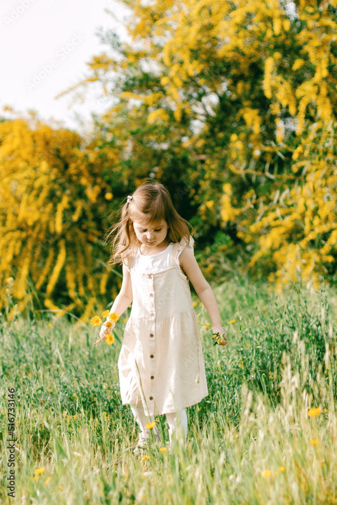 Cute toddler girl with long hairs wear casual dress walking, runing in field with green grass and blooming trees with yellow flowers. Cute toddler girl with long hairs wear casual dress walking, runing in field with green grass and blooming trees with yellow flowers.