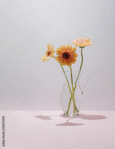 Fototapeta Naklejka Na Ścianę i Meble -  Three Gerbera Daisies in glass carafe or pitcher against pastel pink background. Romantic floral concept.  Creative composition of summer flowers.