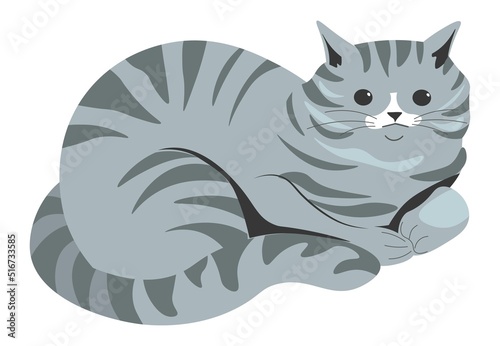 Grey kitten, cat character sitting or napping