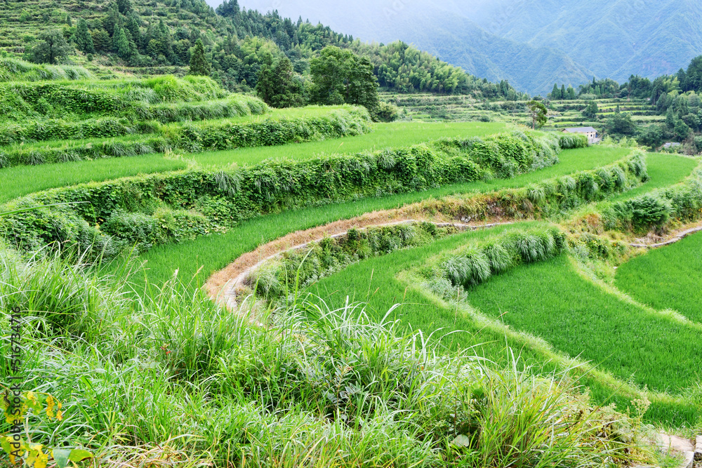 photo of rural terraced fields, China, Zhejiang Province