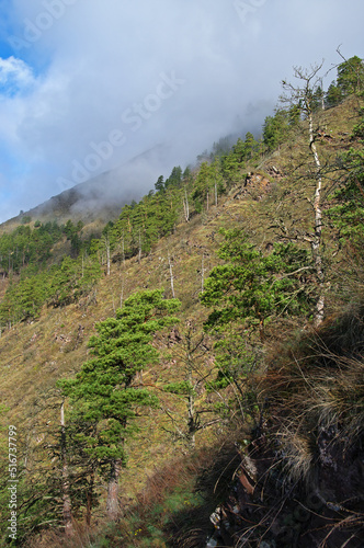 Cloud on the mountainside photo