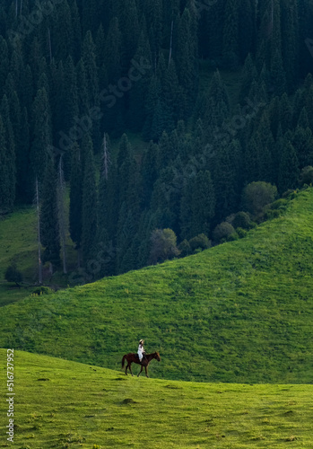 animal, girl, people, lifestyle, outside, adult, woman, young, rider, female, leisure, horse, person, ride, beauty, scene, trees, highland, wooden, tableland, white, playing, nature, green, summer, gr © imphilip