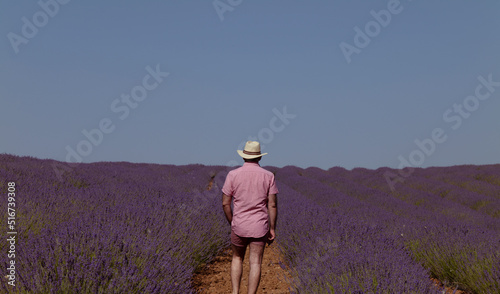 Rear view of adult man in hat on lavender fields. Brihuega, Spain