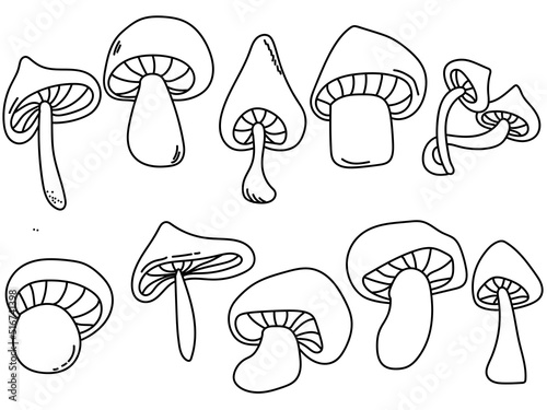 Outline mushrooms set, contour cap mushroom of various shapes and sizes