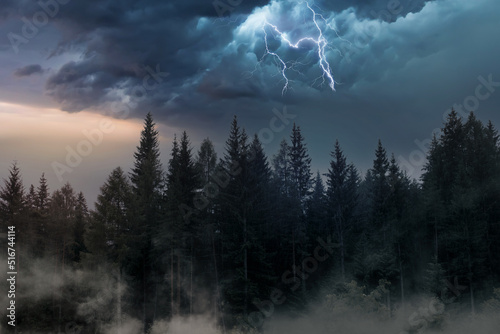 thunderstorm with lightning at sunset in a fir forest