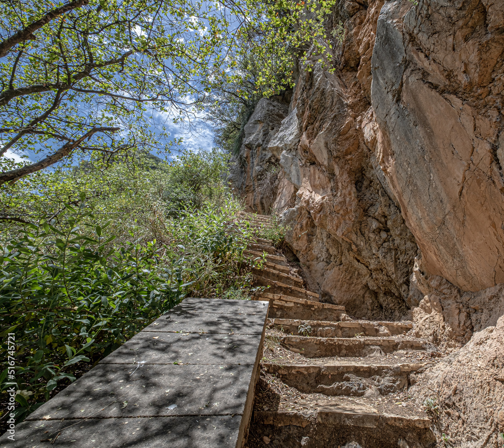 On Menalon Trail in Lousios Gorge from Prodromos Monastery to New Philosophohos Monastery, Dimitsana, Arcadia, Peloponnese, Greece
