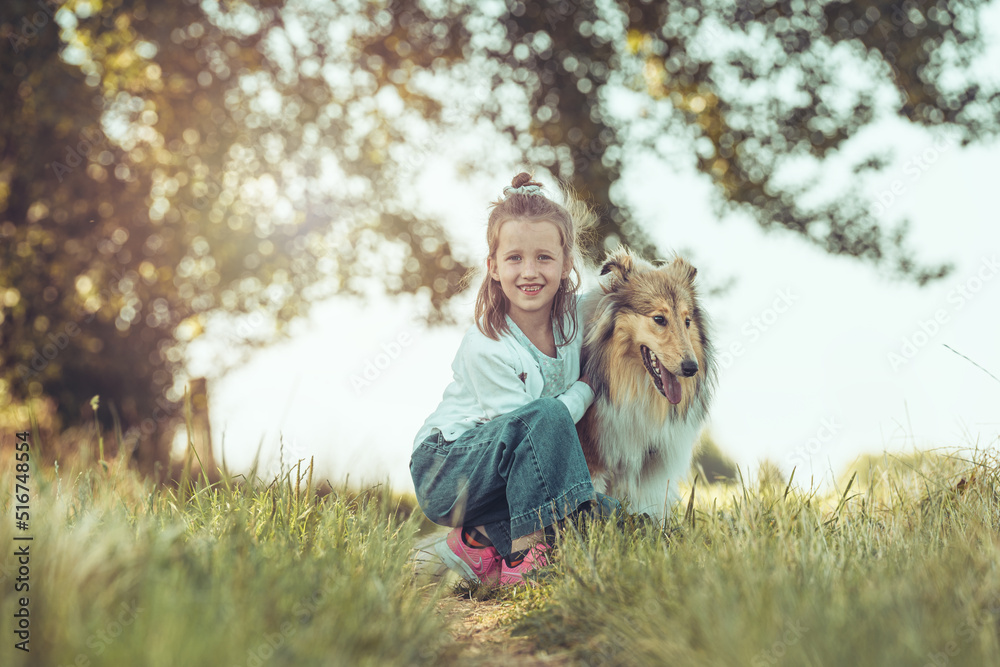 Junges blondes Mädchen mit schottischem Collie sable white im Sommer zusammen auf einer Wiese outdoor Var. 1 Junges blondes Mädchen mit schottischem Collie sable white im Sommer zusammen auf einer Wiese outdoor Var. 1