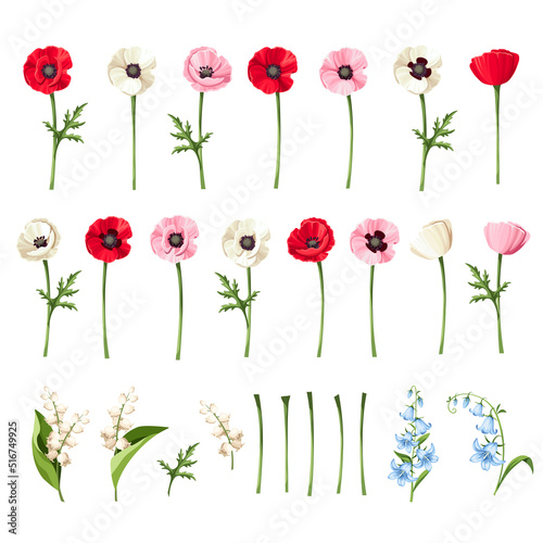 Fotografie, Obraz Set of red, pink, blue, and white poppy flowers, bluebell flowers, and lily of the valley flowers isolated on a white background