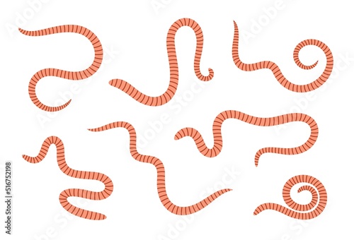 Earthworm logo. Isolated earthworm on white background