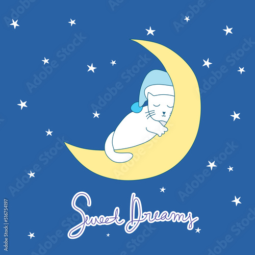 Hand drawn vector illustration of cute cat sleeping in the moon on night sky 