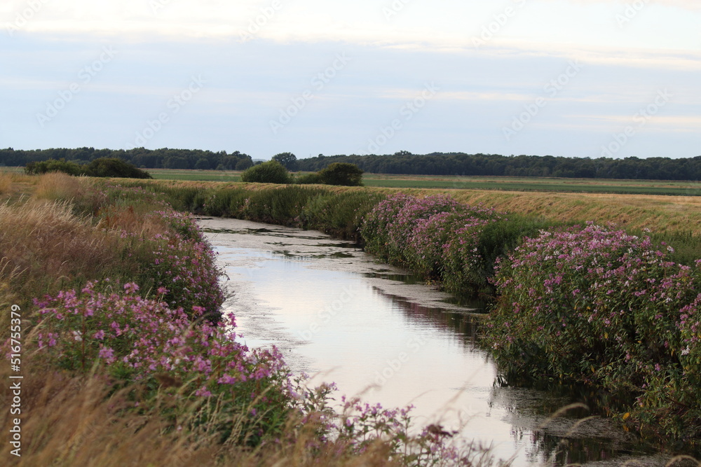 A beautiful landscape shot at a nature reserve, this photo has been taken on a summer evening. This reserve is home to lots of wildlife and animals.