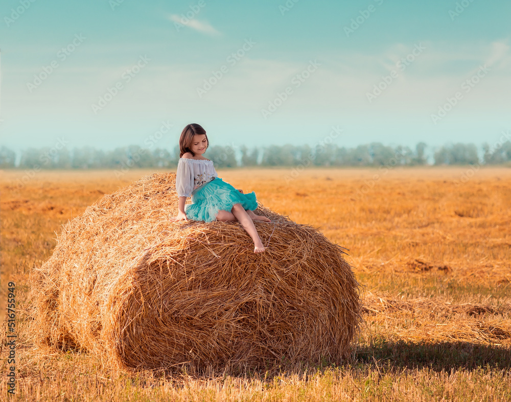 The girl in sits on a roll, stack of hay. The girl is walking in the field, it is a hot summer. The girl is wearing a blue skirt. The girl in sits on a roll, stack of hay. The girl is walking in the field, it is a hot summer. The girl is wearing a blue skirt.