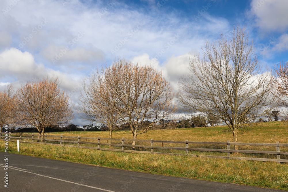 Centennial Road, Bowral Southern Highlands NSW Australia Landscape Photography Centennial Road, Bowral Southern Highlands NSW Australia Landscape Photography
