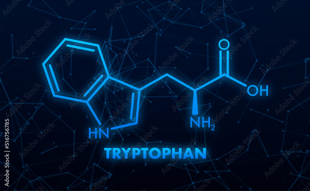 Tryptophan formula. Tryptophan or l-tryptophan, Trp, W amino acid molecule Tryptophan formula. Tryptophan or l-tryptophan, Trp, W amino acid molecule