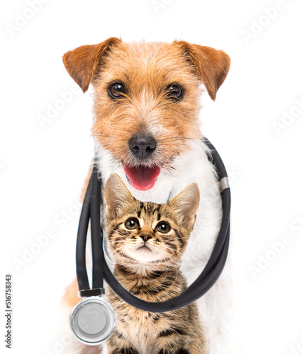 dog and cat and stethoscope