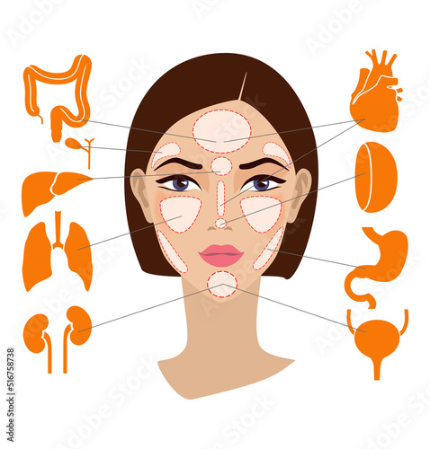 Markers of reflexology zones. Projection of the internal organs on the face of a woman. Isolated on white background