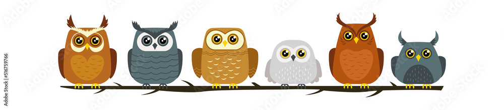 Fototapeta premium Funny Cartoon Owl Bird. Vector illustration