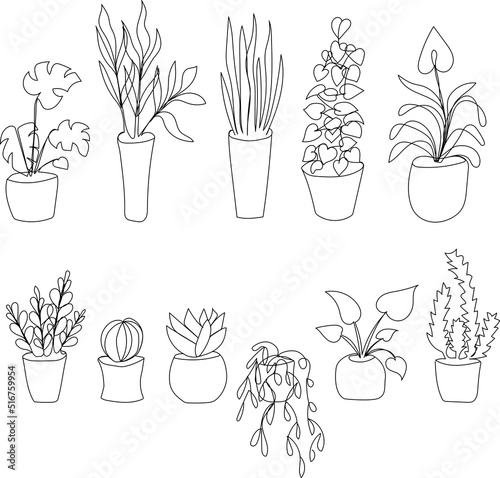 Set home plants in trendy mono line style - art deco. Isolated vector flowerpots.