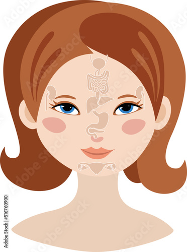 Markers of reflexology zones. Projection of the internal organs on the face of a woman. Isolated on white background