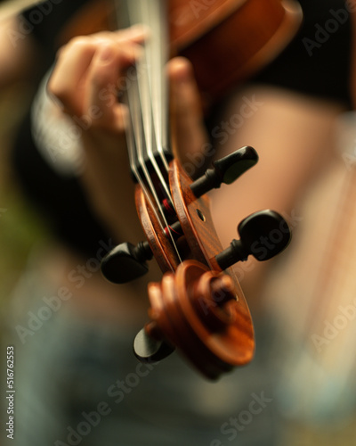 Bratsche closeup