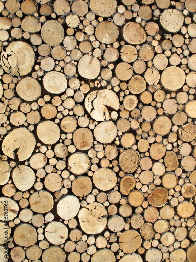 Wood logs for background Wood logs for background