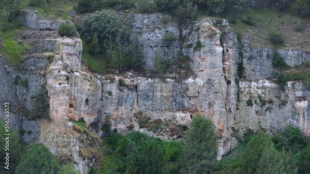 Cliffs with Griffon Vulture (Gyps fulvus) nests in the surroundings of the Monastery of San Pedro de Arlanza. Hortiguela. Arlanza river. Burgos, Castilla y Leon, Spain, Europe Cliffs with Griffon Vulture (Gyps fulvus) nests in the surroundings of the Monastery of San Pedro de Arlanza. Hortiguela. Arlanza river. Burgos, Castilla y Leon, Spain, Europe