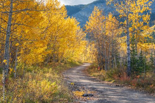 Fall colors in Kananaskis in Alberta  Canada 