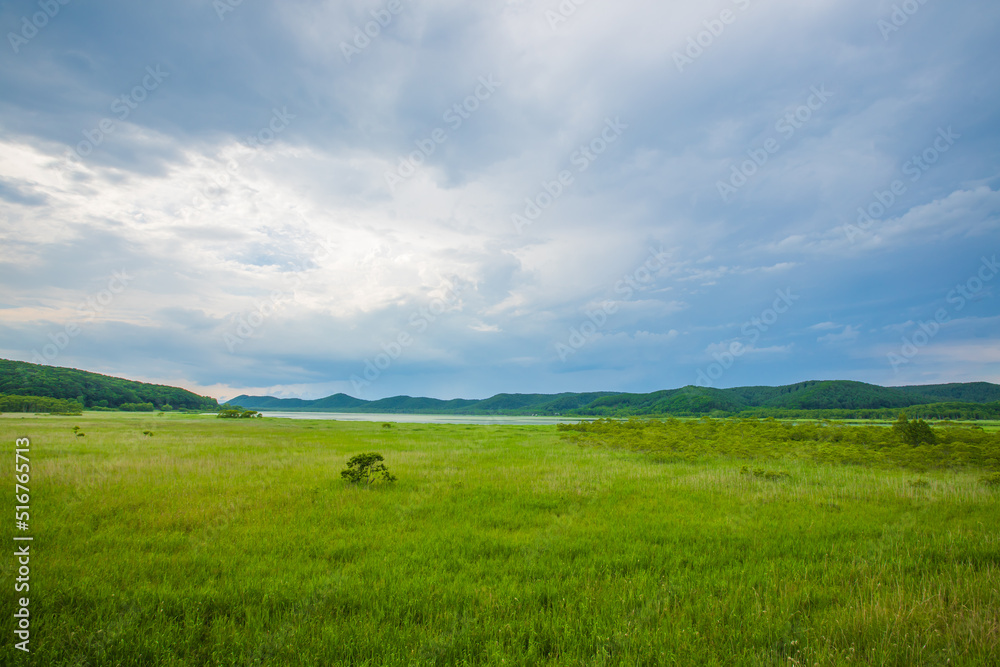 北海道　釧路湿原の風景　
