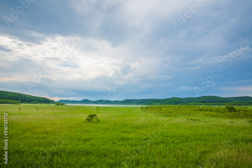 北海道　釧路湿原の風景　  © スプやん
