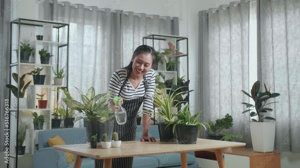 Smiling Asian Woman Enjoy Watering Plants At Home
