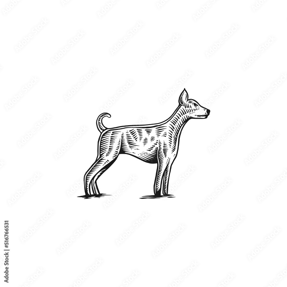 Fototapeta premium dog engraving hand drawn illustration