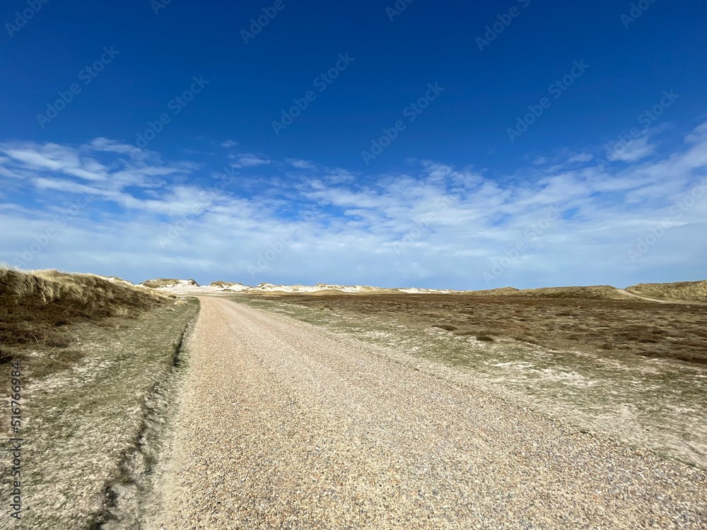 Naklejka premium Kiesweg zu einem einsamen Strandabschnitt durch eine anmutige Heidelandschaft mit weißen Sanddünen im Hintergrund