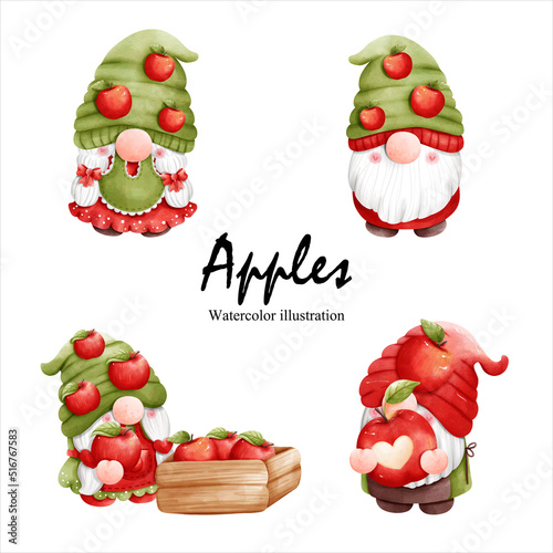 watercolor apples gnome, gnome fruit vector illustration