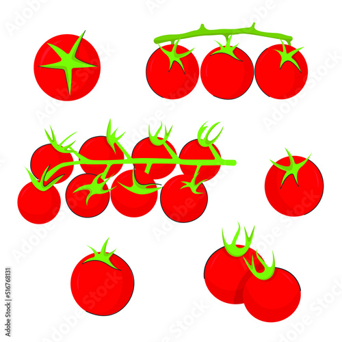 Fototapeta Naklejka Na Ścianę i Meble -  Print design vector illustration of red and green tomato collection. Cute set with flat style.	