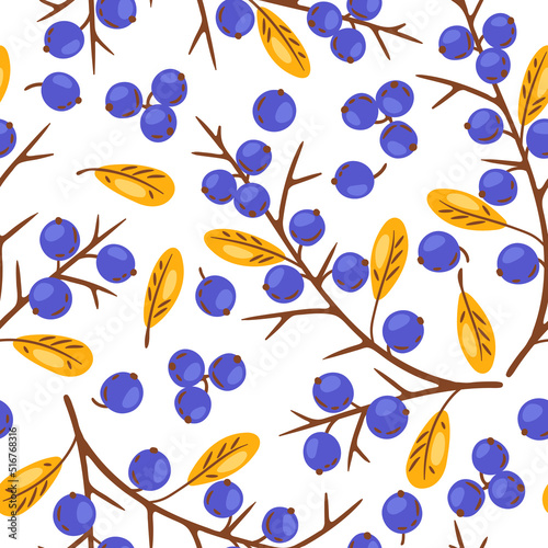 Seamless pattern of thorn with berries. Image of autumn plant.