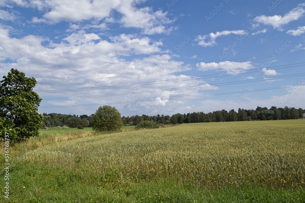Fototapeta premium Field in summer at Tuomarinkylä, Helsinki, Finland.