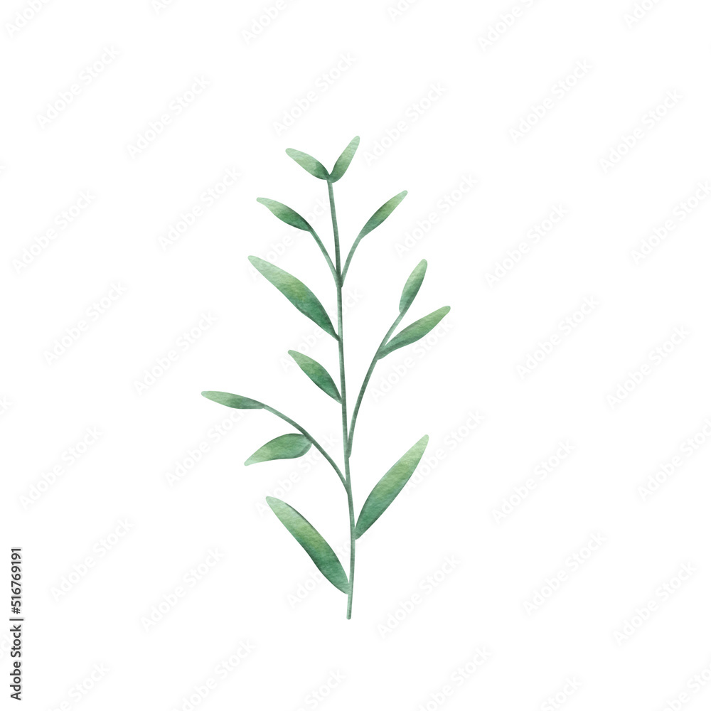leaf water color

