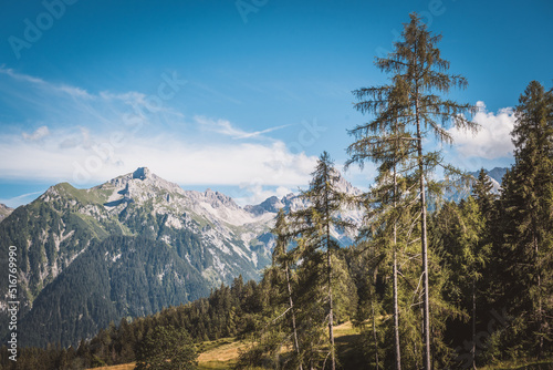 Landschaft