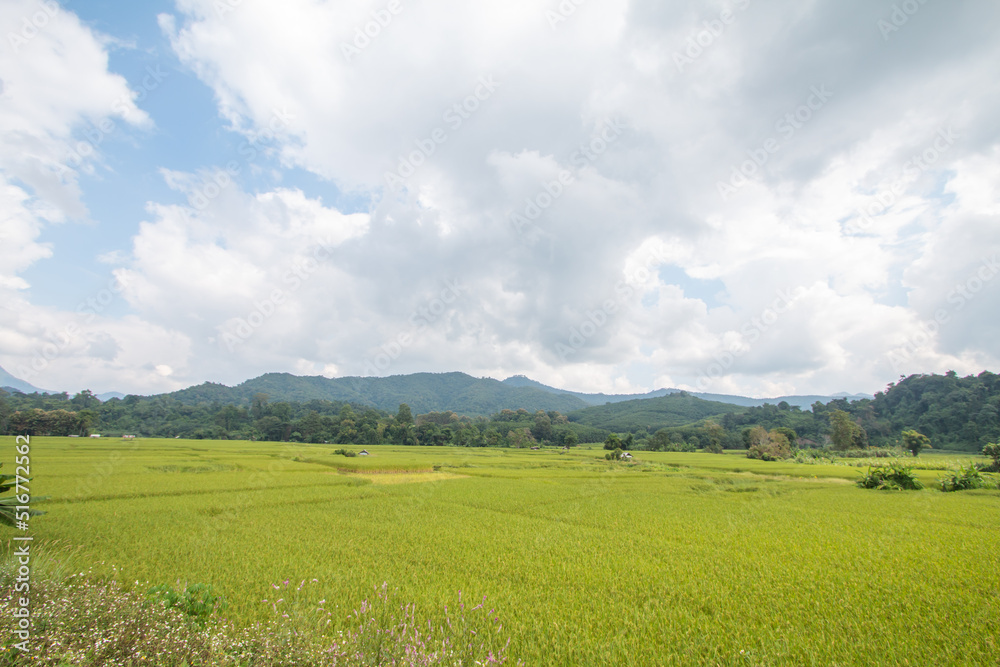 Obraz premium fram and cloud