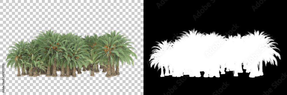 Fototapeta premium Tropical island isolated on background with mask. 3d rendering - illustration