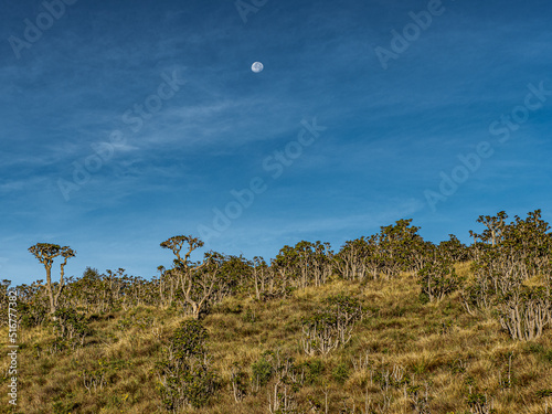 moon over Horton Plain's © Henk