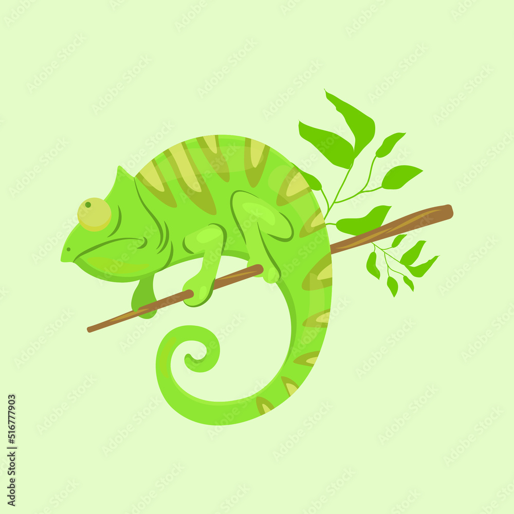 Fototapeta premium Green chameleon on the branch. Cartoon colour vector illustration.