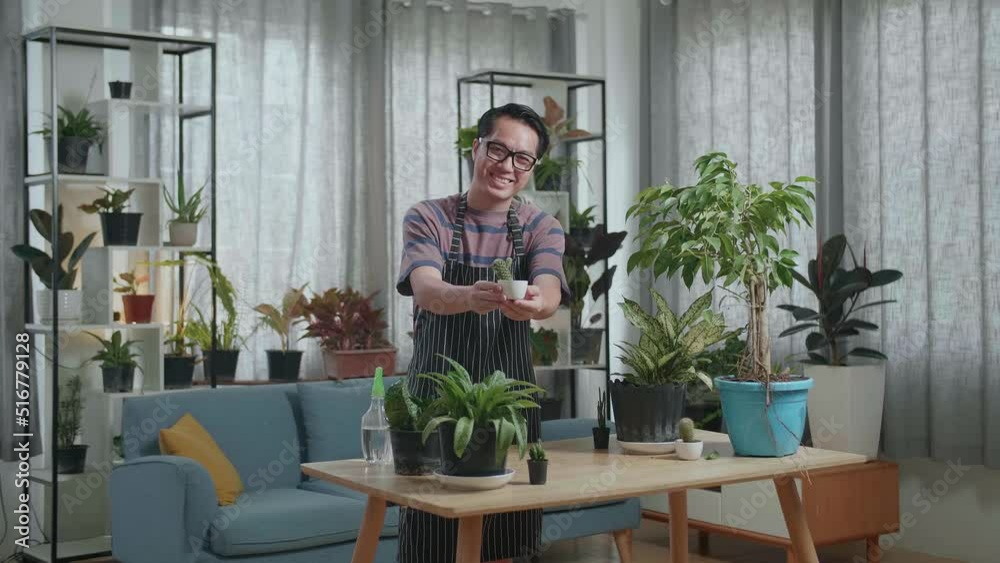 Smiling Asian Man Holding And Showing Cactus Plant To Camera At Home
Smiling Asian Man Holding And Showing Cactus Plant To Camera At Home