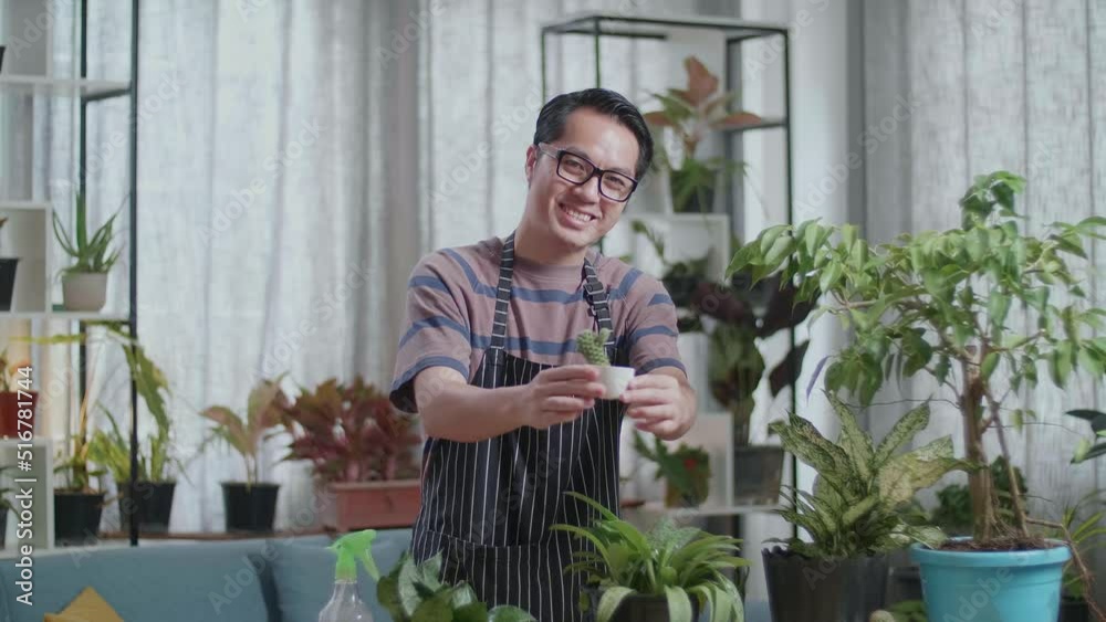 Smiling Asian Man Holding And Showing Cactus Plant To Camera At Home
Smiling Asian Man Holding And Showing Cactus Plant To Camera At Home