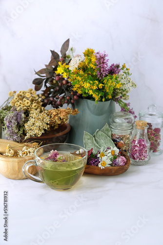 Glass tea cup and set of fresh and dry useful herbs on table, abstract marble background. Healthy medical Herbs collection. Homemade herbal vitamins tea for  remedy for flu and cold