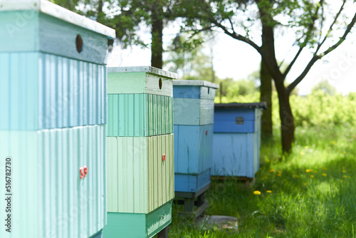 Set of beehives on a rural area © DavidMorillo