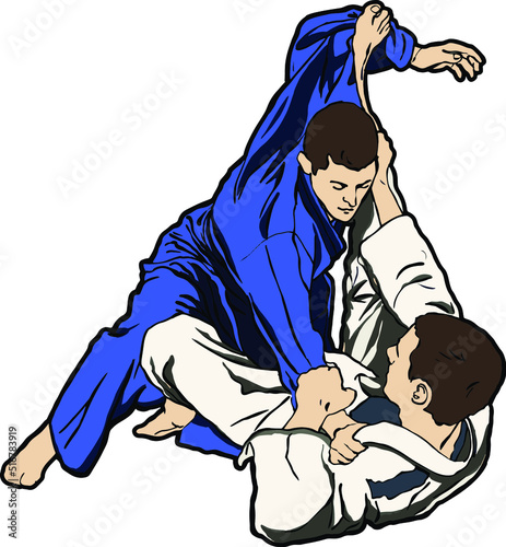 Jiu jitsu fighting martial arts photo