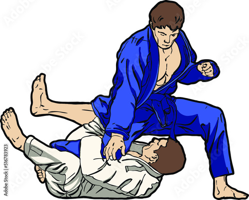 Jiu jitsu fighting martial arts